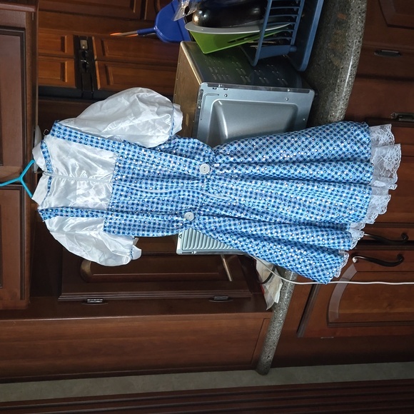 The wizard of Oz costume dress Size 6-8 - Picture 4 of 4